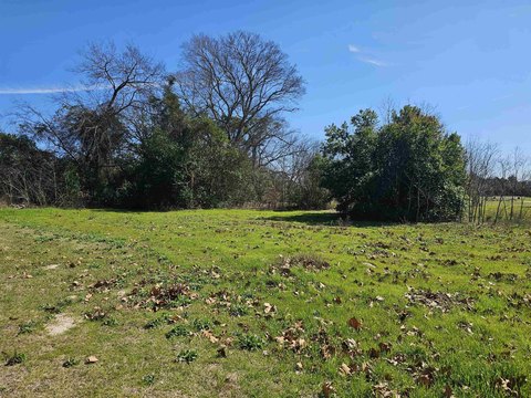 LAND - Big Sandy, TX
