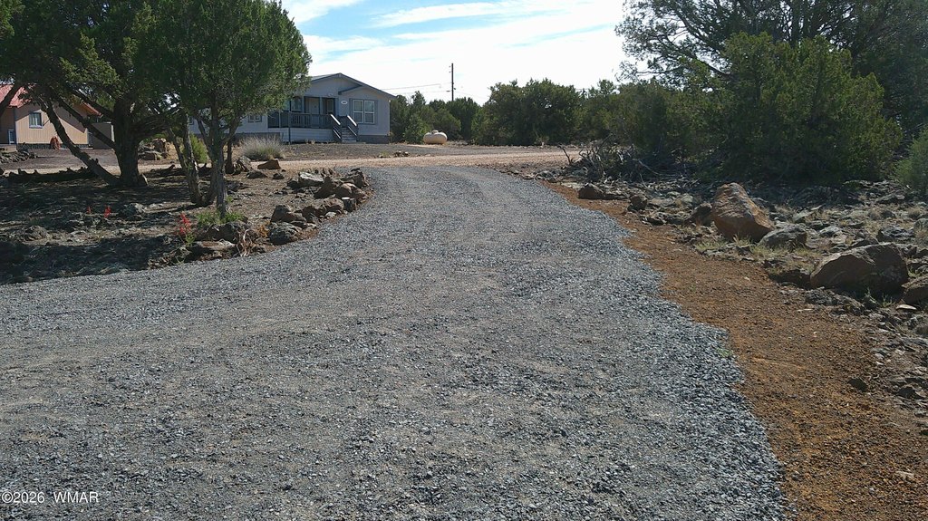 Picture 3
