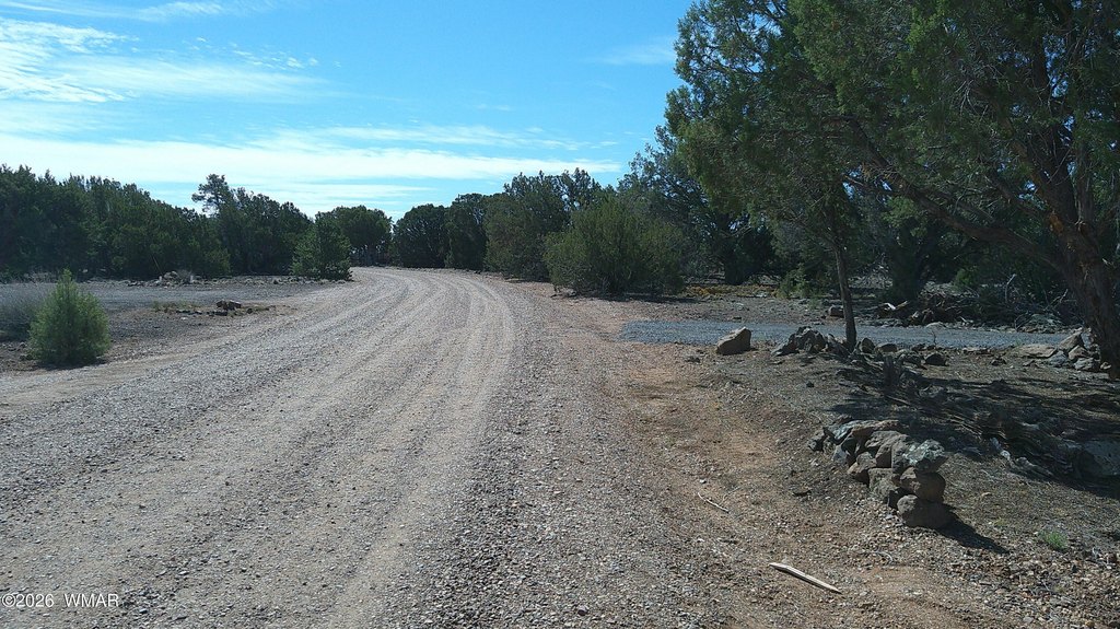 Picture 11