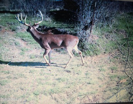 Bolton, MS Land Tract