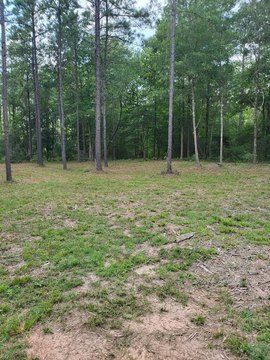 Land, Colmesneil, TX