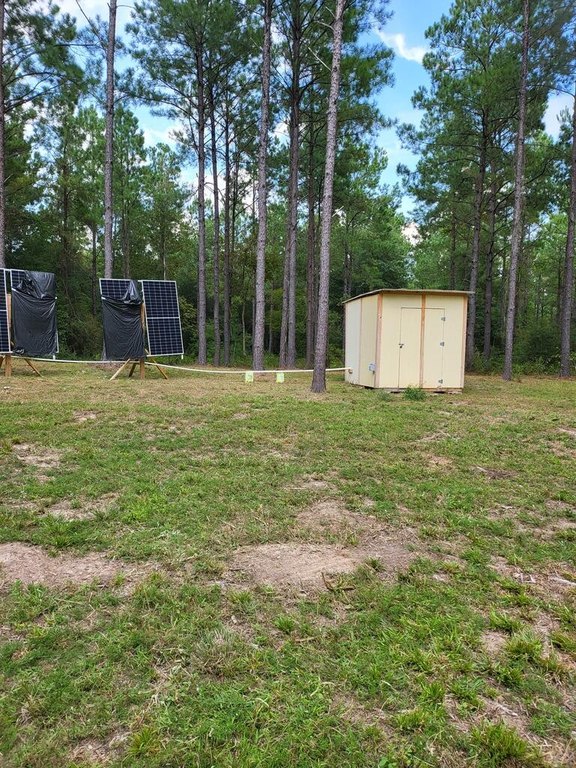 Picture 3