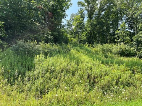 Land with Stunning Views