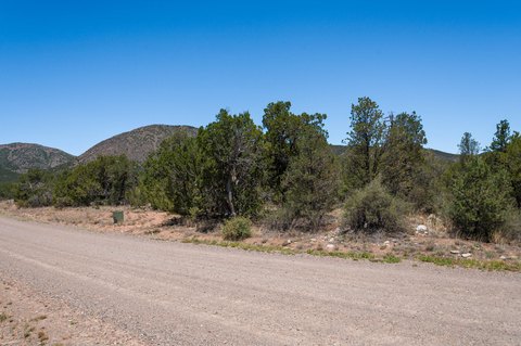 LAND - Edgewood, NM