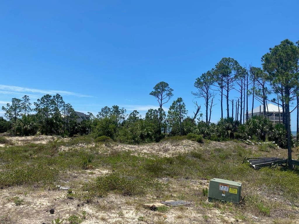 Port St. Joe Land