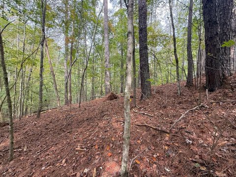 Vacant Lot, Ellijay, GA