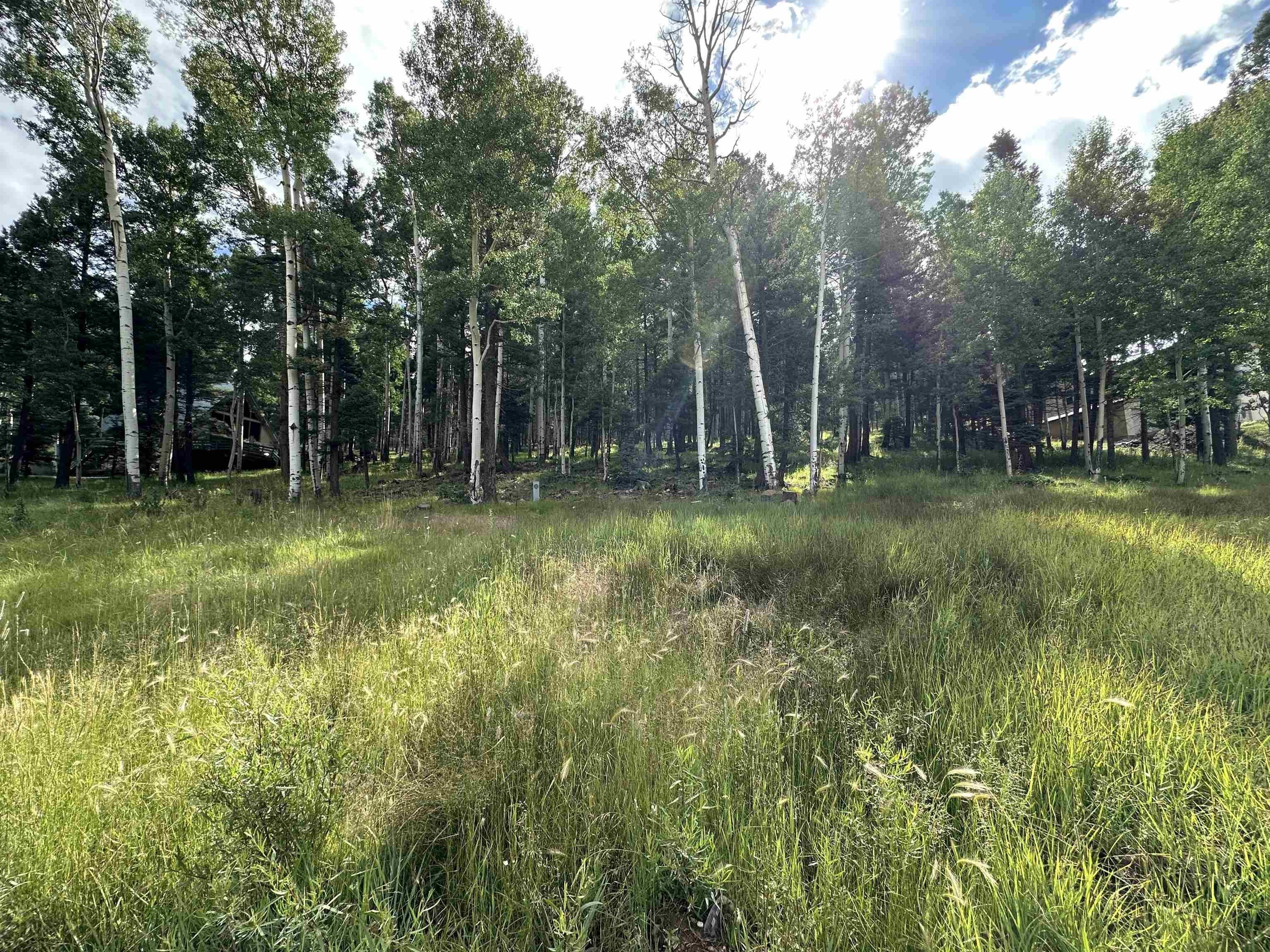 Land in Angel Fire, NM