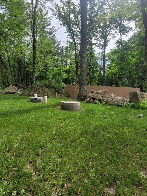 Picture 14
