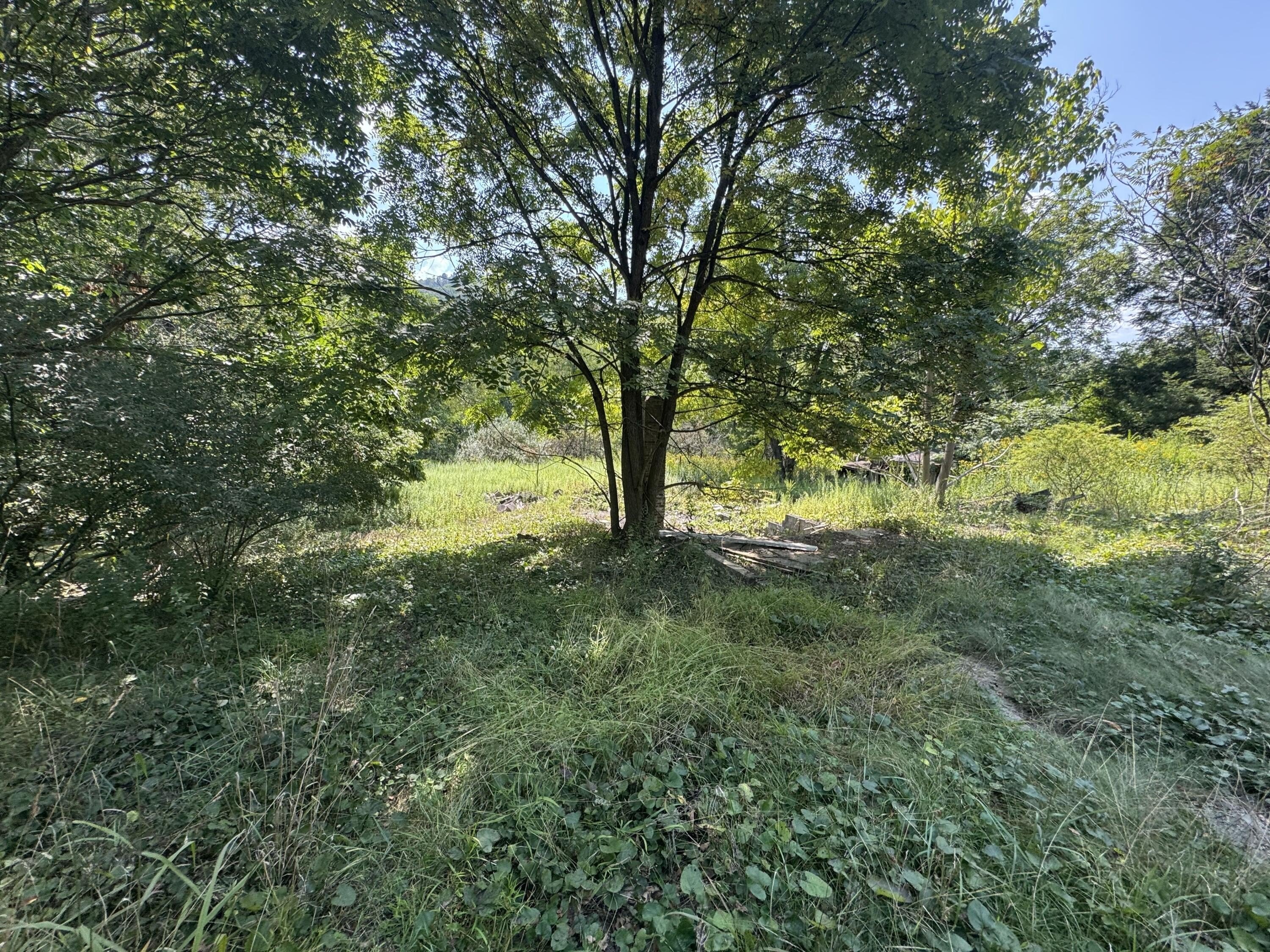 Rainelle, WV Land For Sale