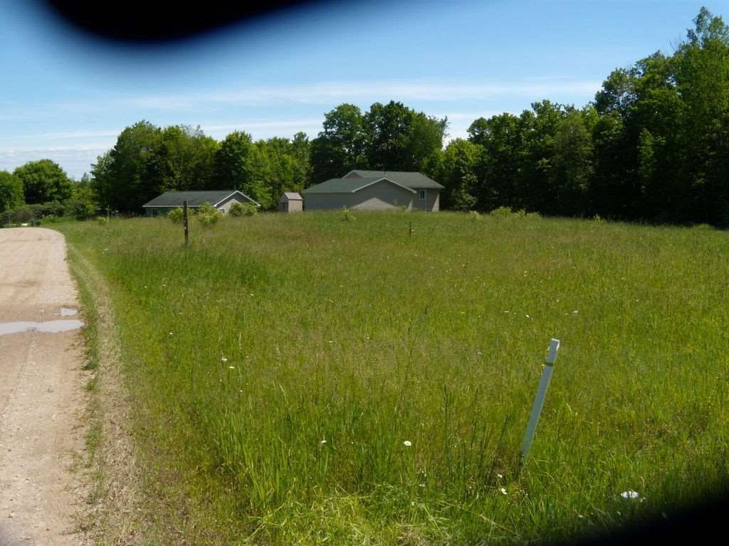 Picture 8