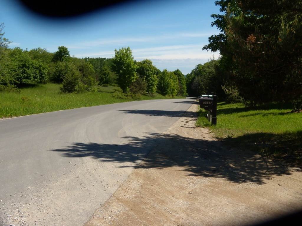 Picture 12