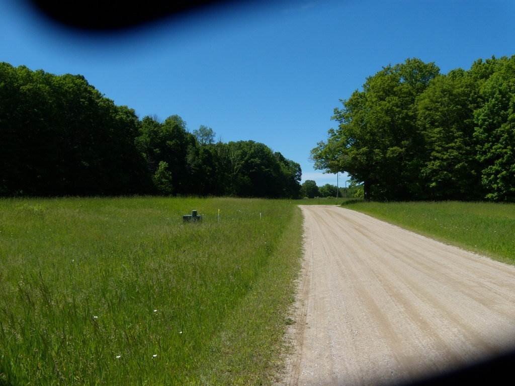 Picture 7
