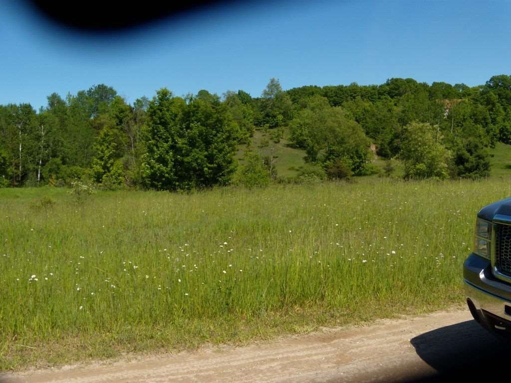 Picture 10