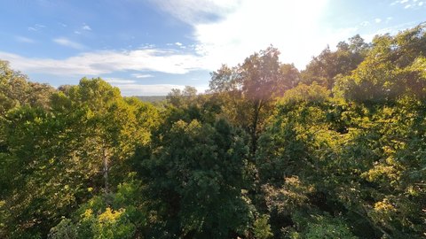 Land, Mammoth Spring, AR