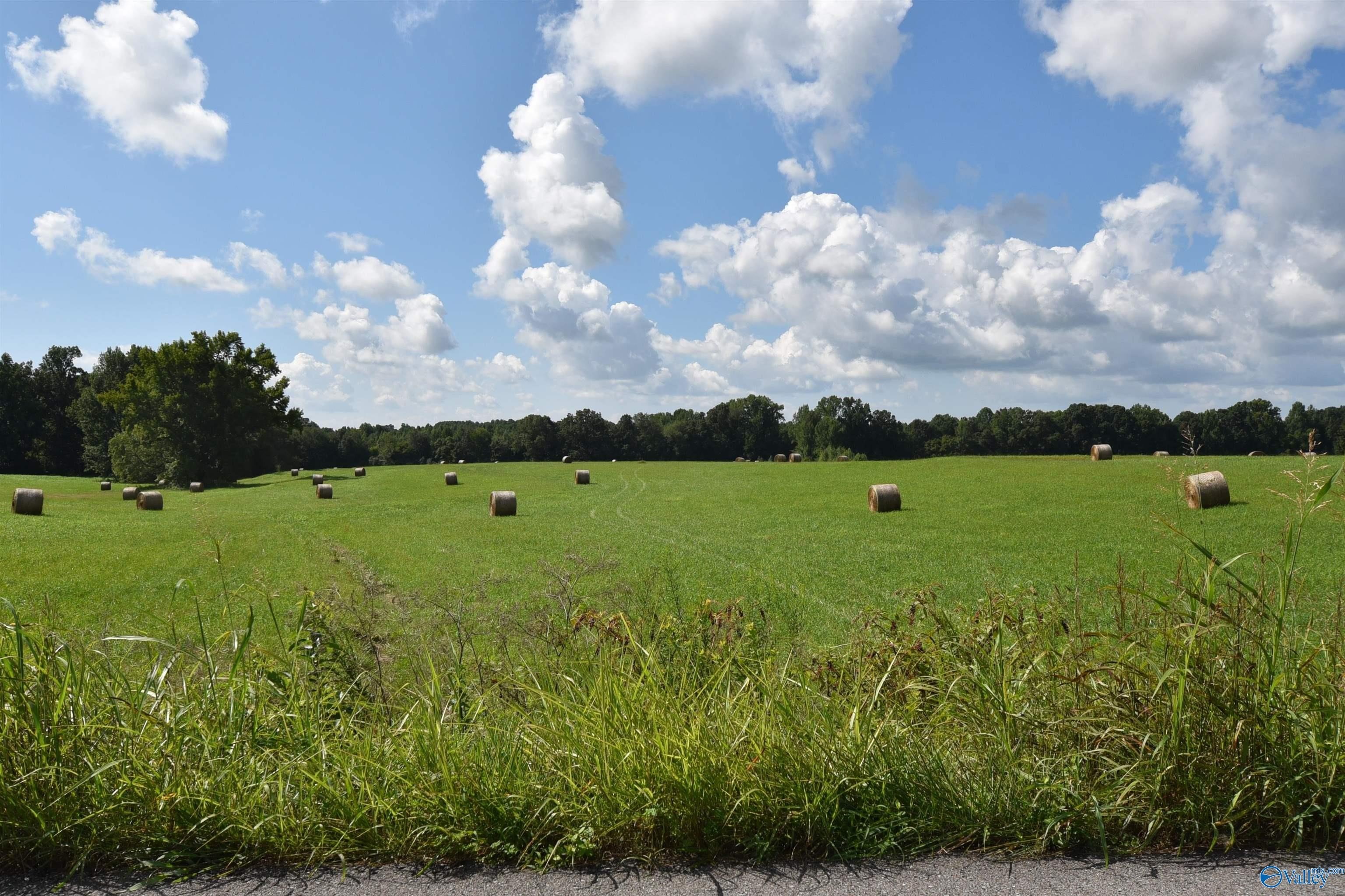 Fayetteville Pasture Land For Sale
