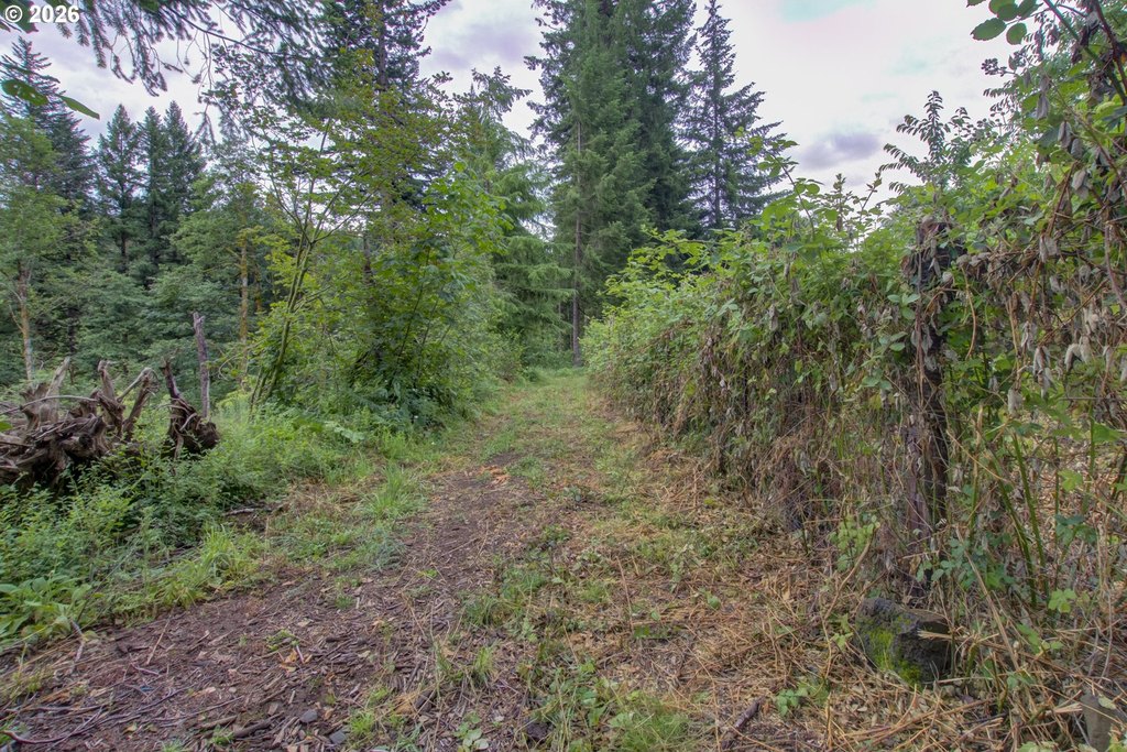 Picture 36