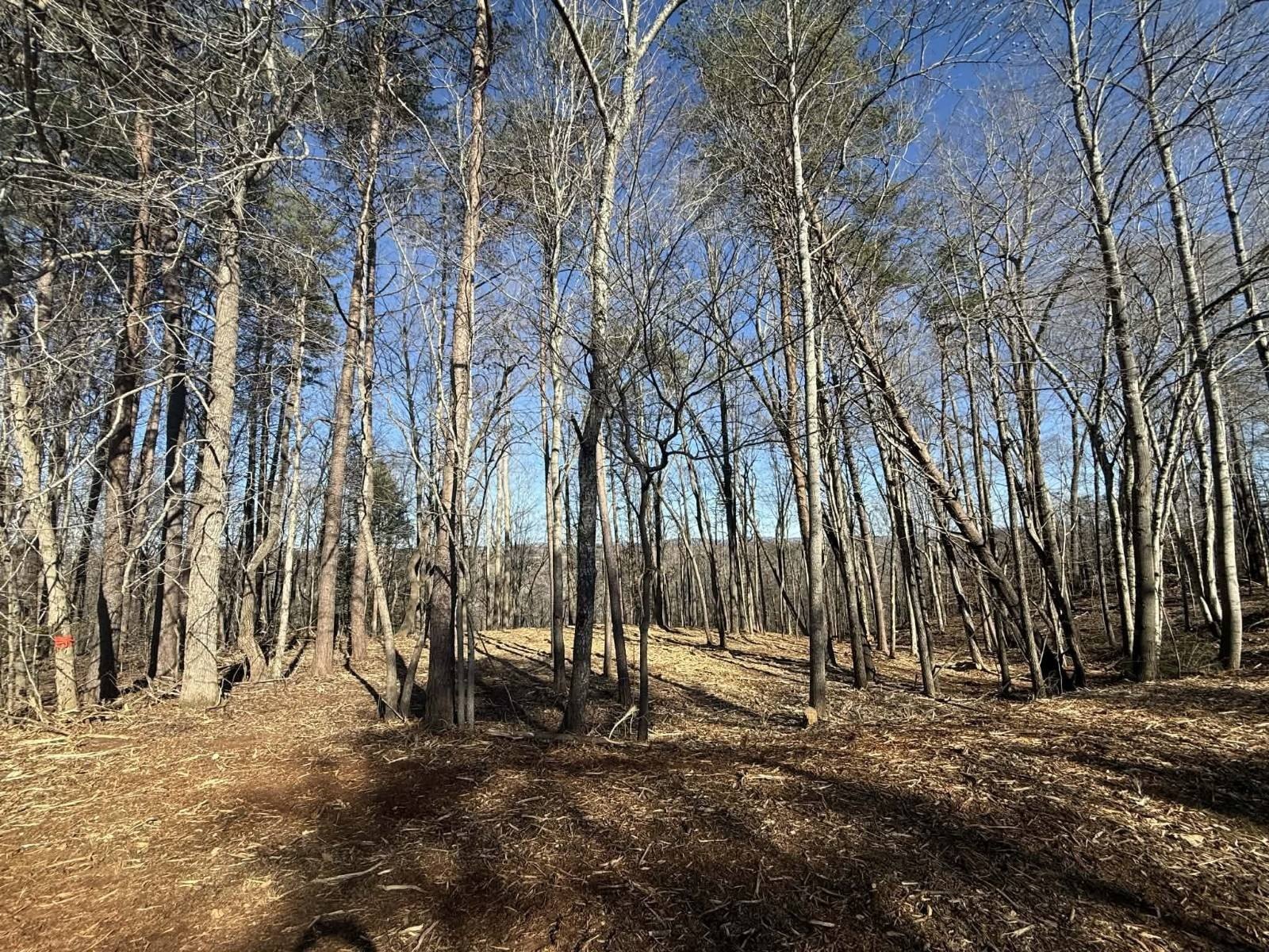 Airpark Lot Near Dale Hollow