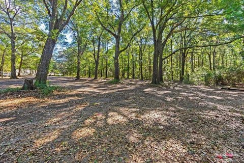 Wooded Lot Ready for Development