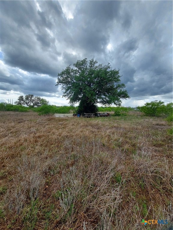 Picture 7