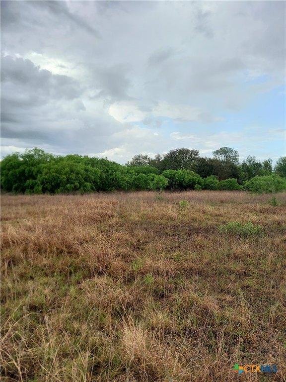Picture 11