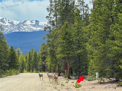 LAND - LEADVILLE, CO