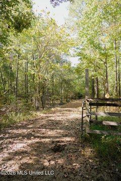 Timbered Land with Water Available