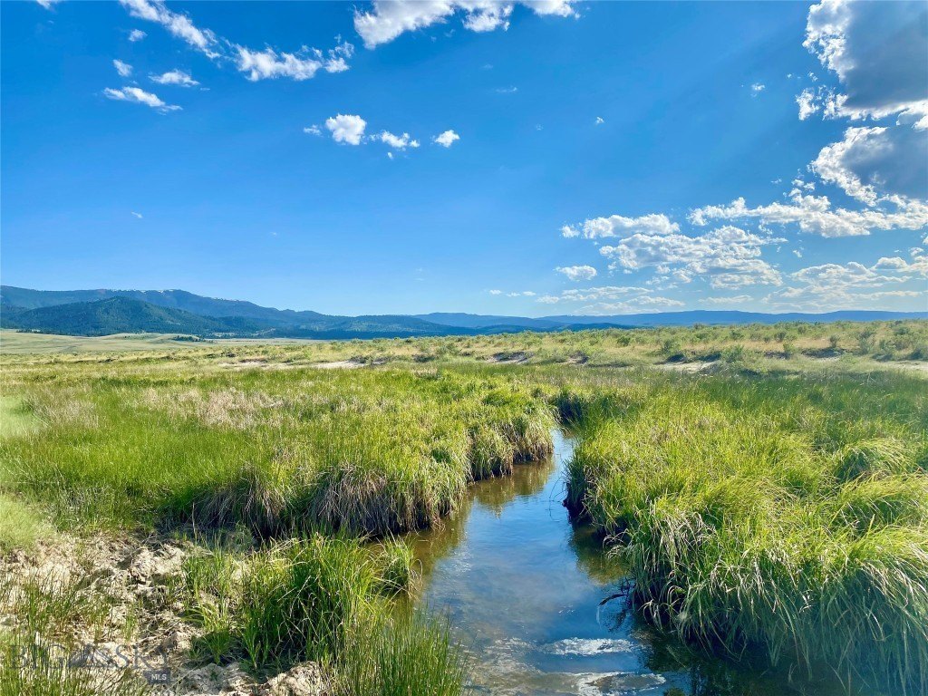 280 Acres of Fenced Pasture