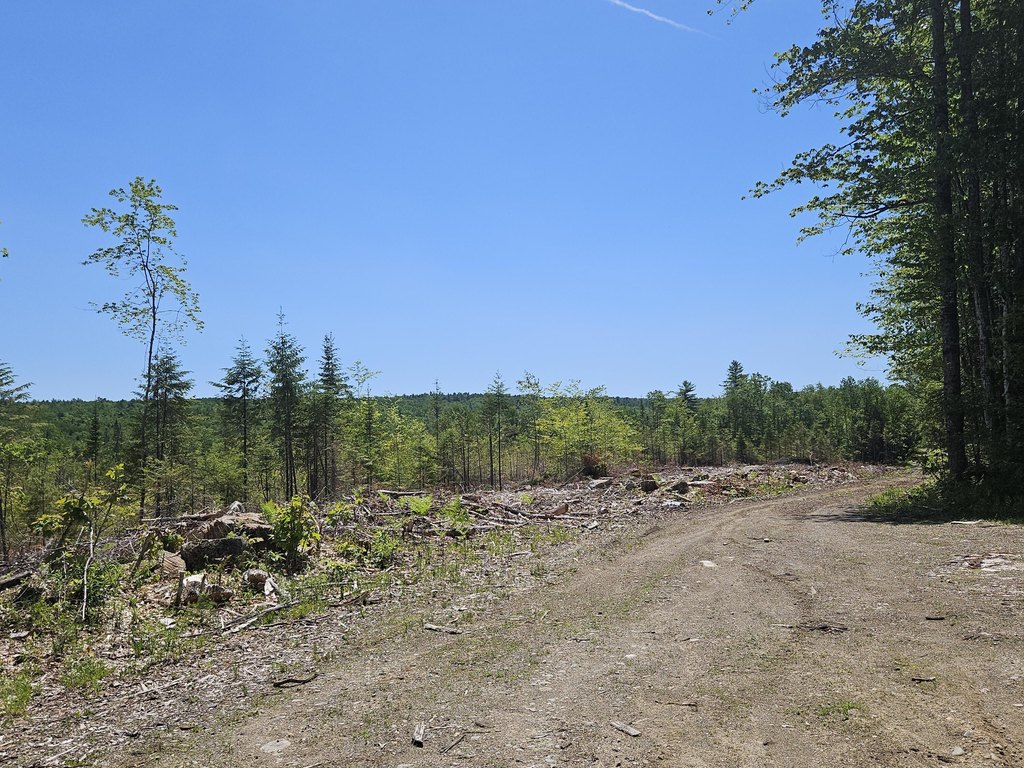 Picture 3