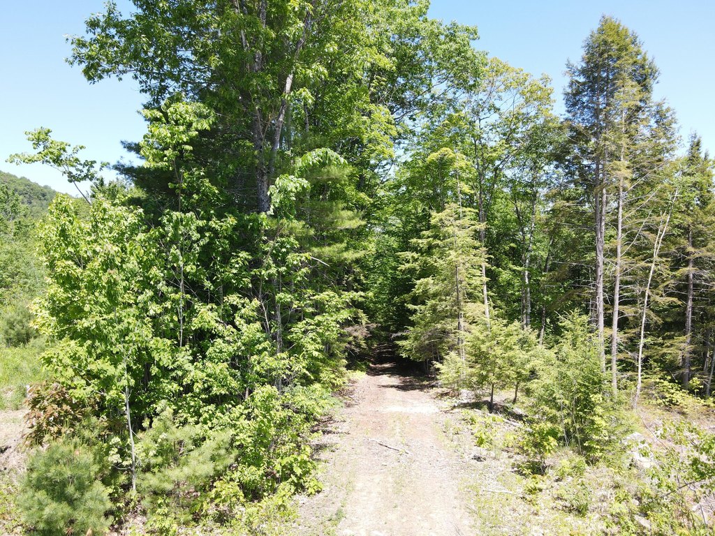 Picture 21