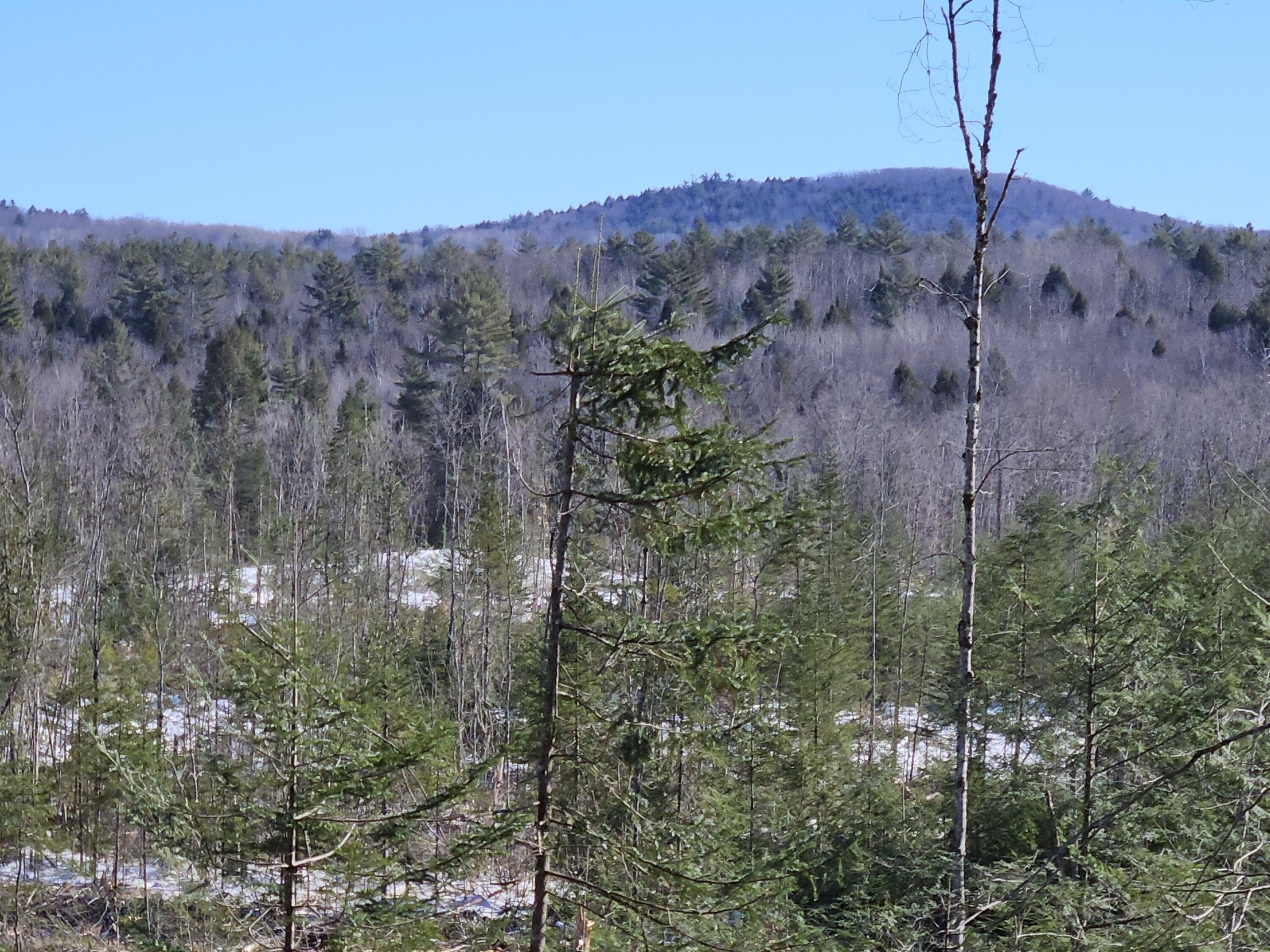 Secluded Land with Stream Frontage
