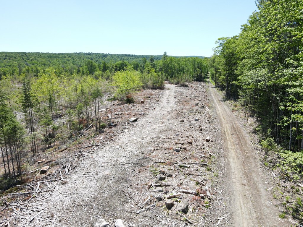 Picture 25