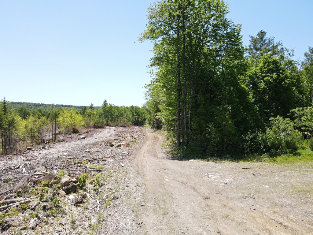 Picture 22