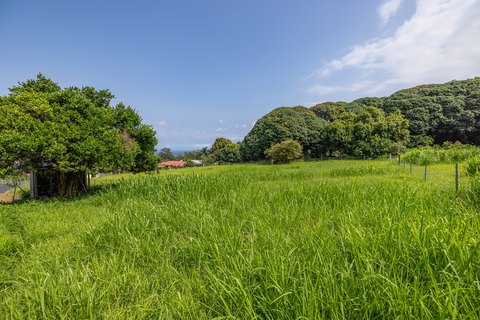 Land, Hakalau, HI