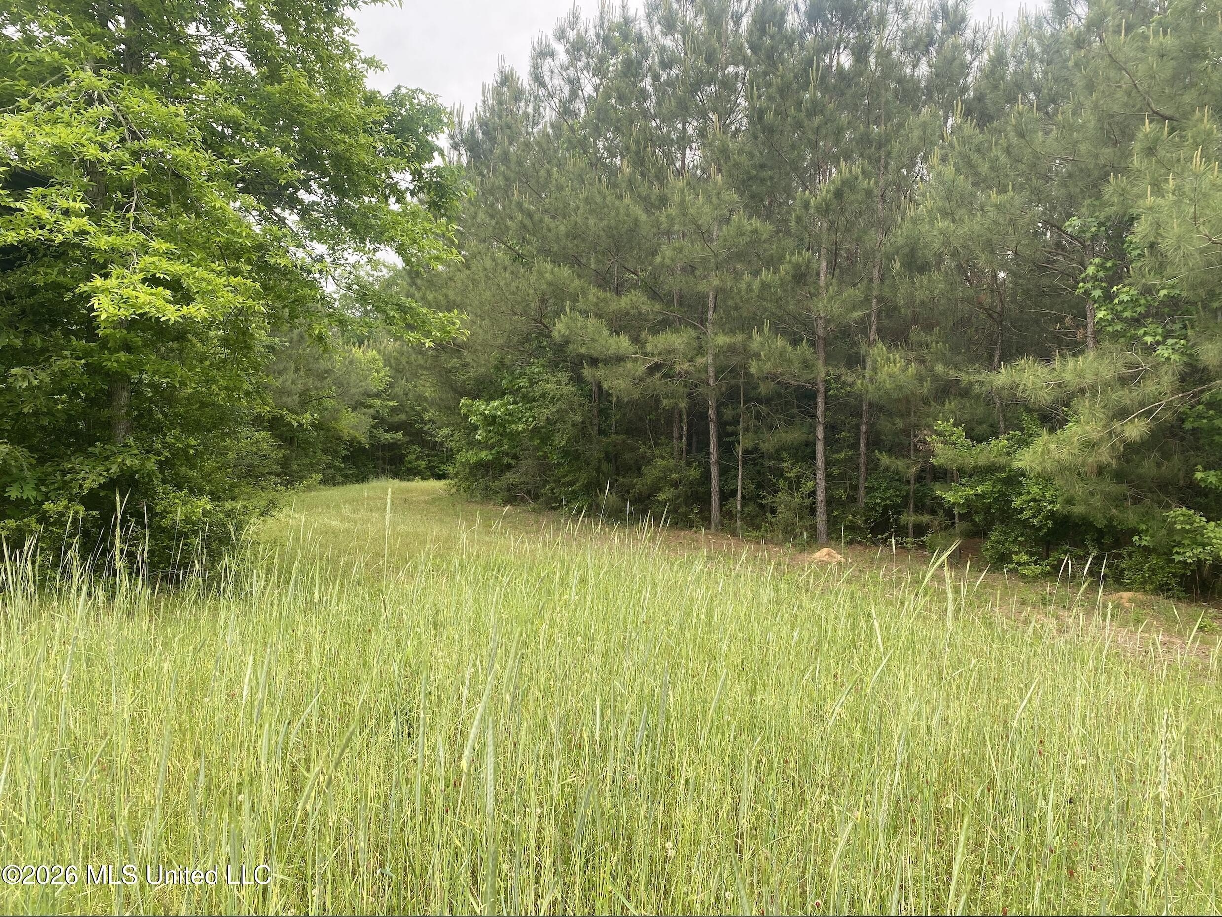 Pike County Recreational Hunting Land