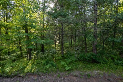 Eagle River Acreage For Sale
