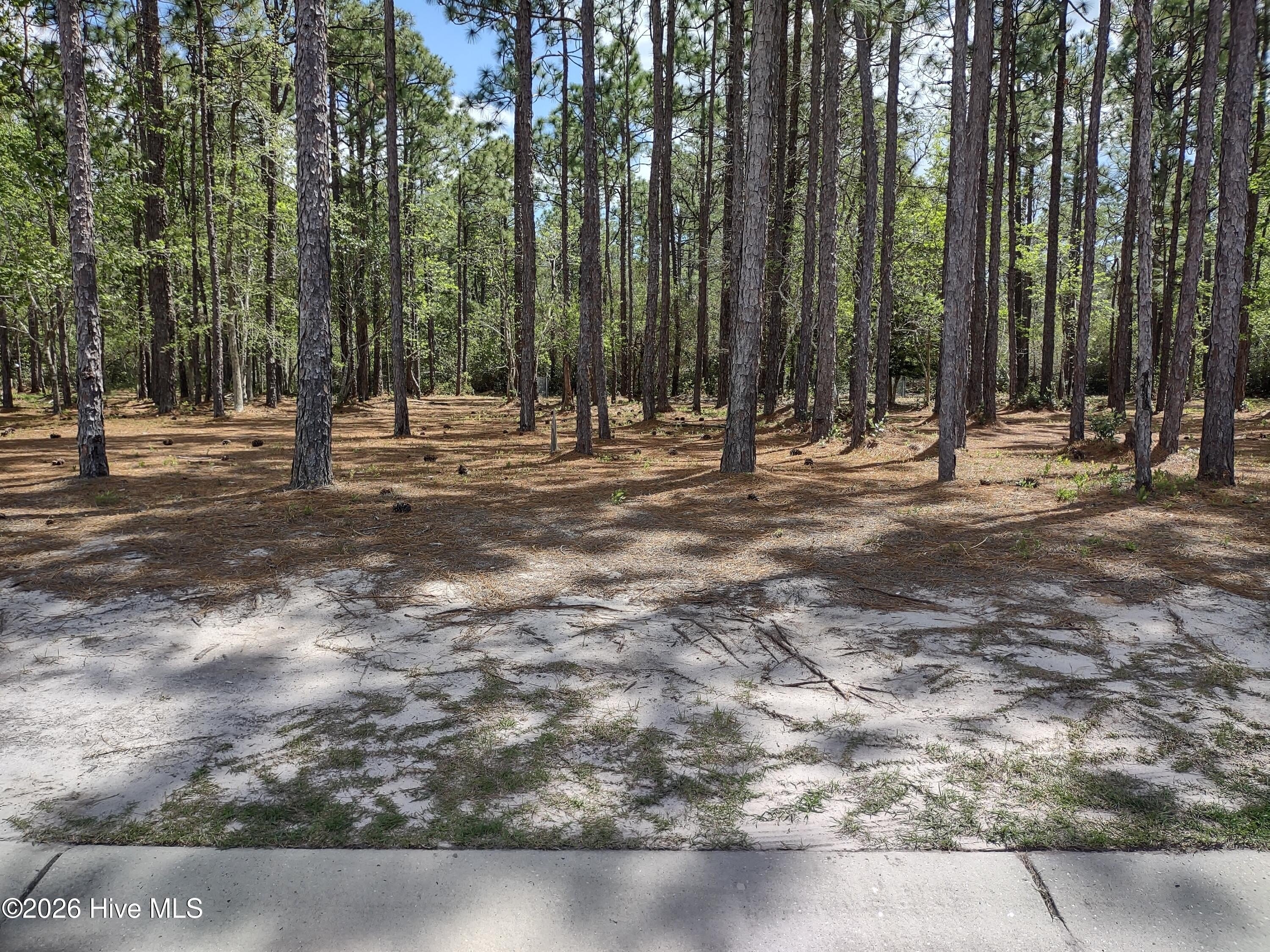 Wooded Homesite in Gated Community
