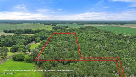 Undeveloped Land in Pelahatchie, MS