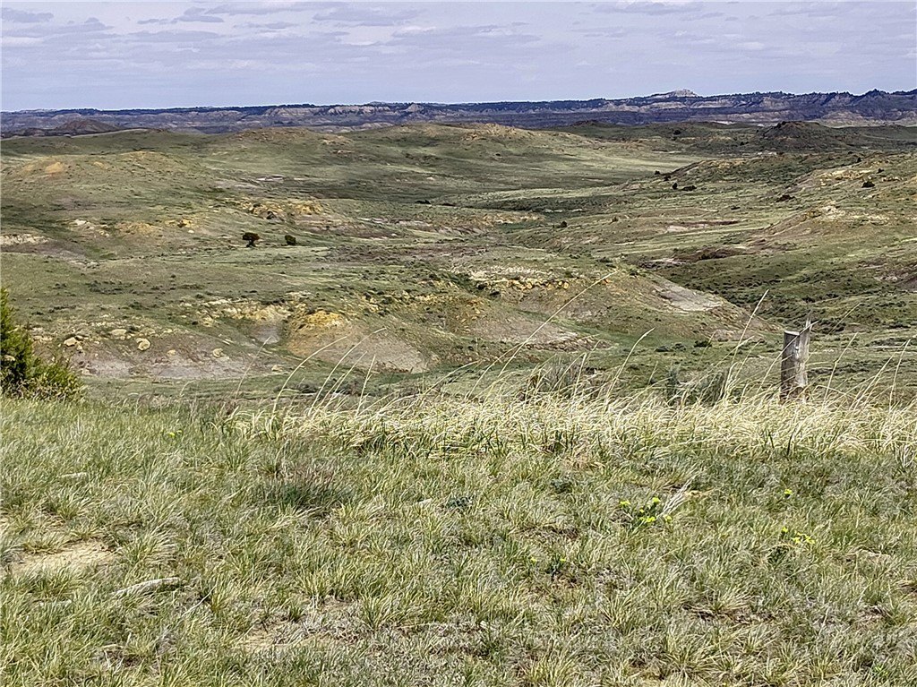 Picture 40