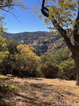 Lake Arrowhead Vacant Land