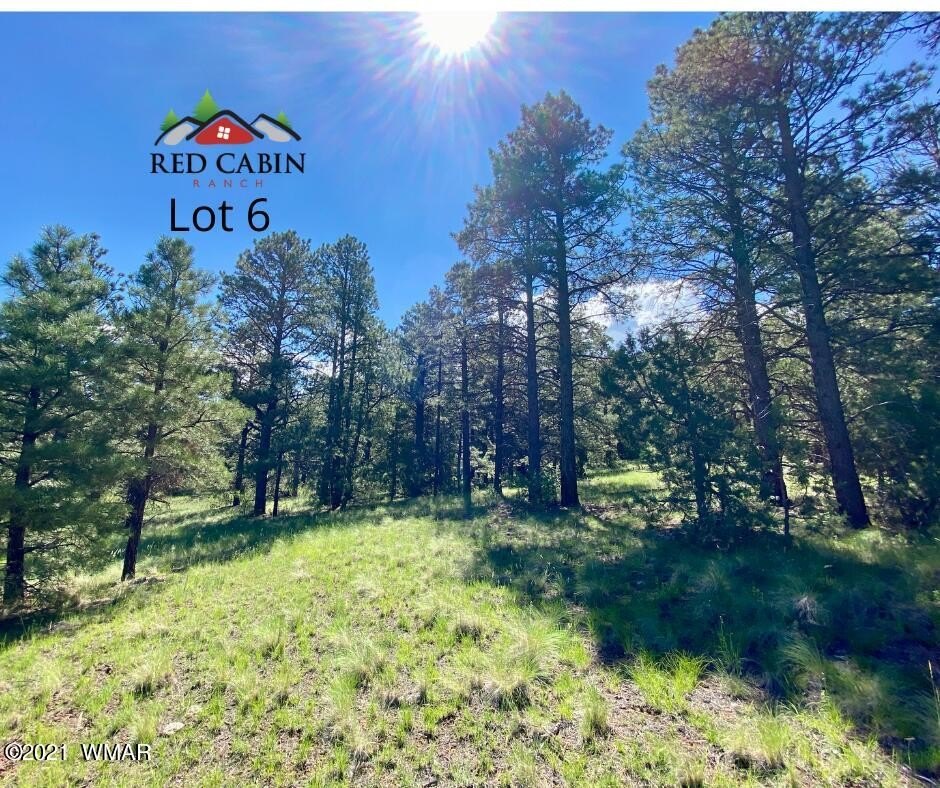 Vernon, AZ Land Parcel