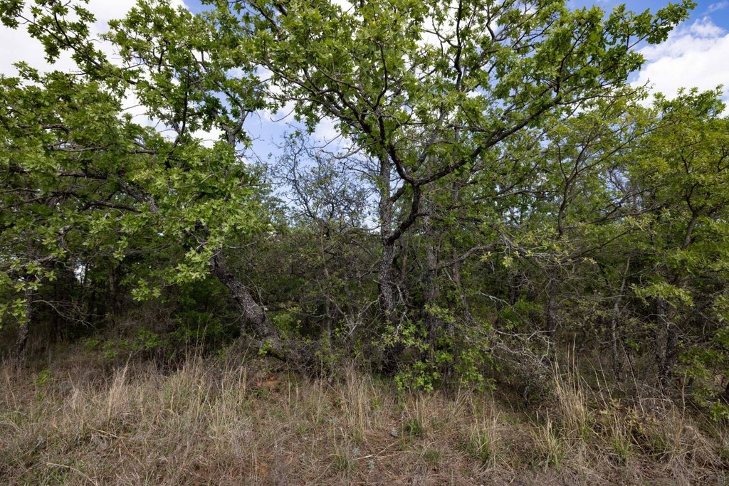 Picture 27