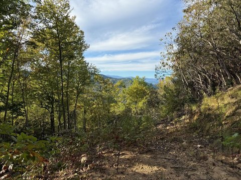Whittier Land with Mountain Views