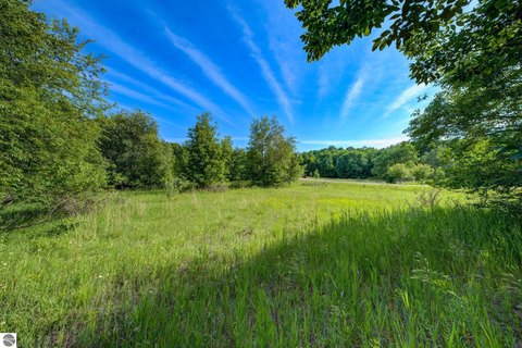 LAND - Maple City, MI
