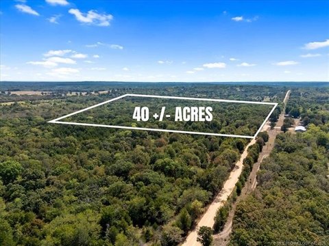 Wooded Hunting Land