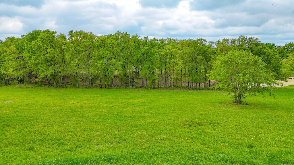 Picture 8