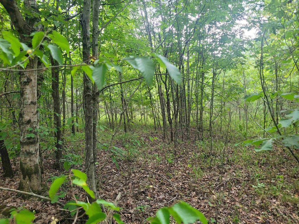 Picture 8
