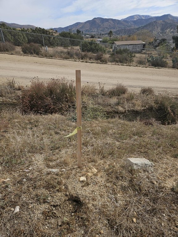 Picture 3