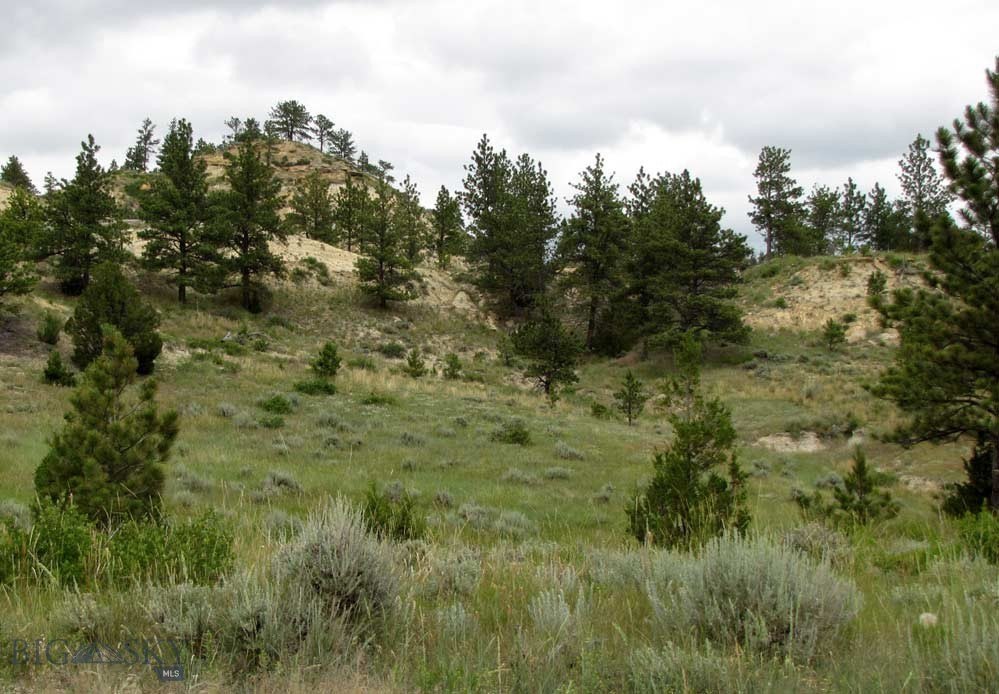 Montana Land with Vista Views