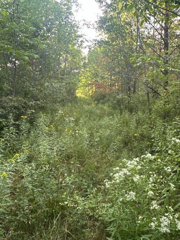 Picture 24