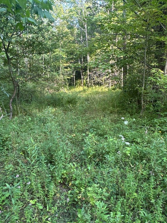Picture 19